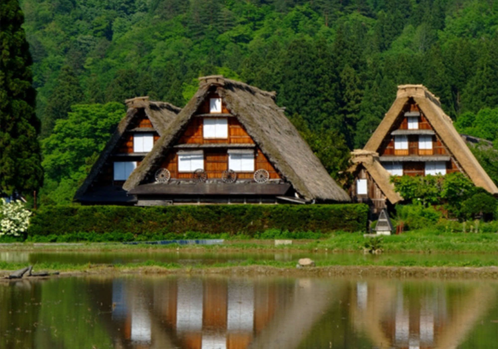 送迎サービス